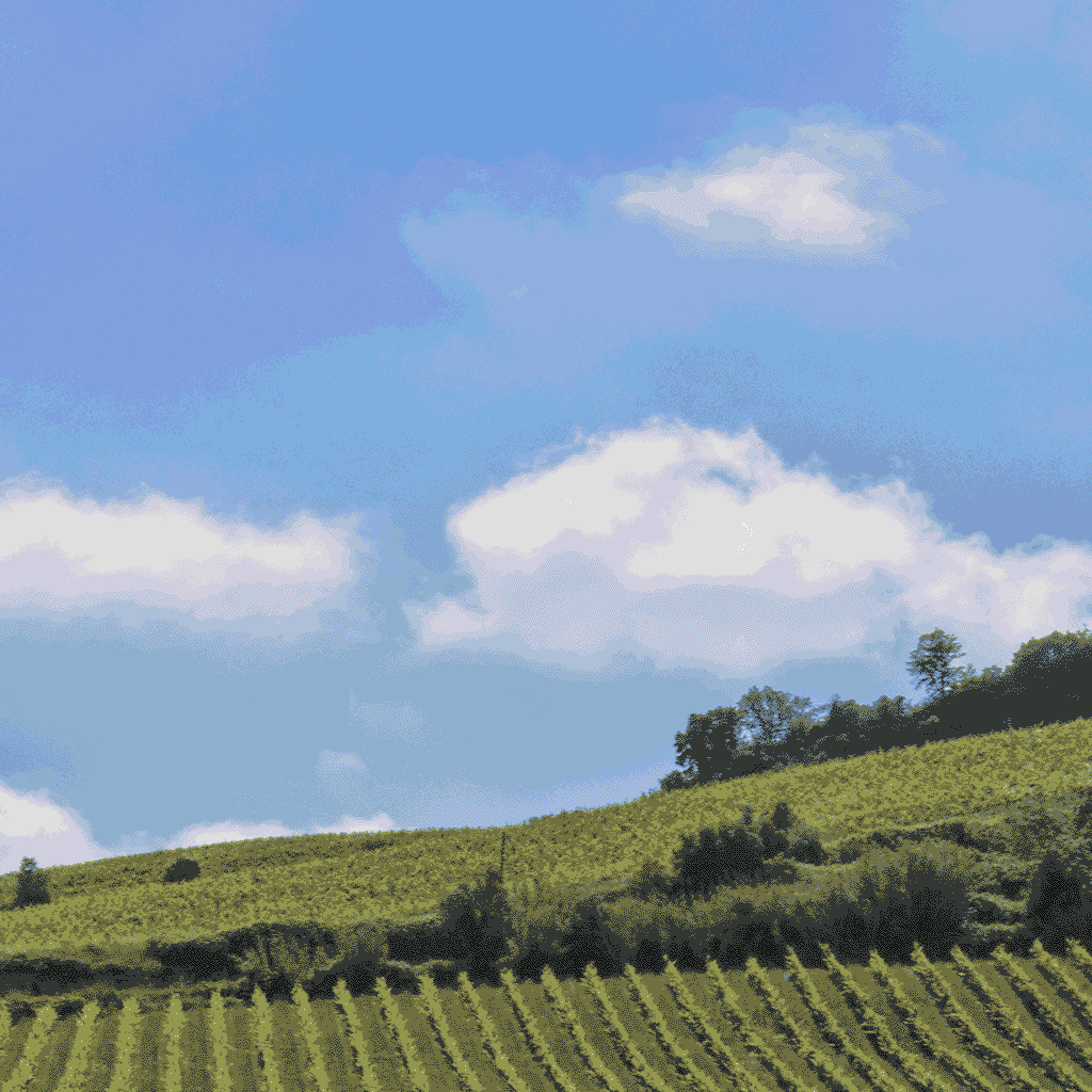 Envisioning Cloverdale